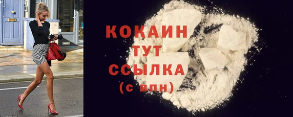 шишки Осташков