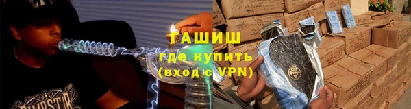 шишки Осташков