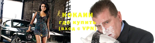 шишки Осташков