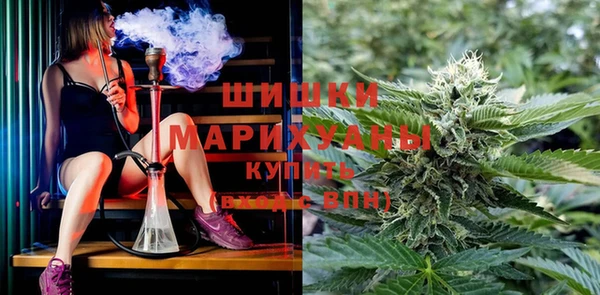 шишки Осташков