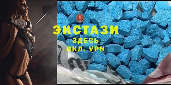 шишки Осташков