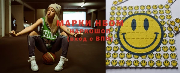 шишки Осташков