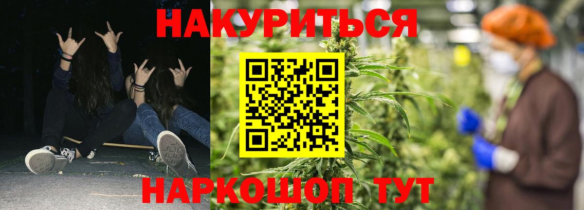 Волжск  Конопля гибрид  Каннабис Bruce Banner  Вход с VPN  Бошки марихуана марихуана  Шишки марихуана конопля 